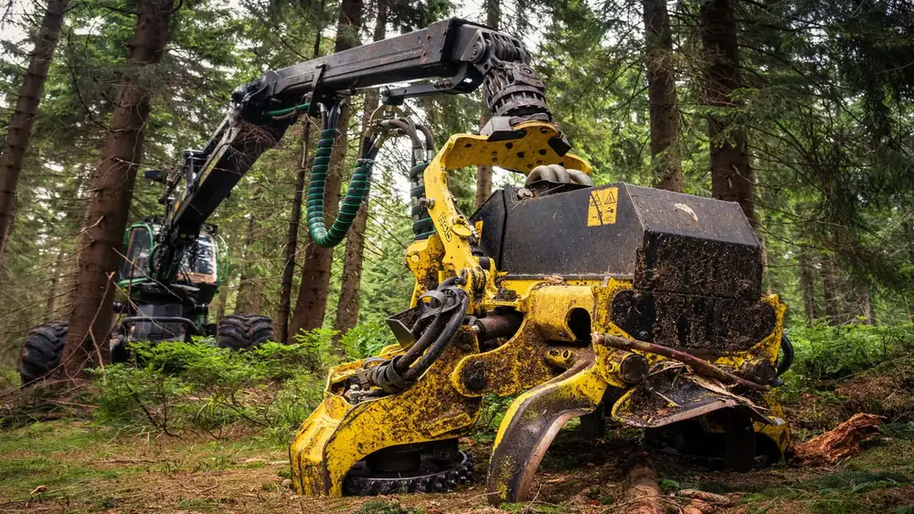 Feller Buncher